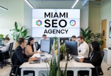 Miami SEO Agency – Your Partner for Business Growth Miami SEO Agency – Your Partner for Business Growth